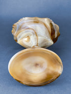 Vintage Slag Glass Footed Bowl – Brown & White Marbled Compote