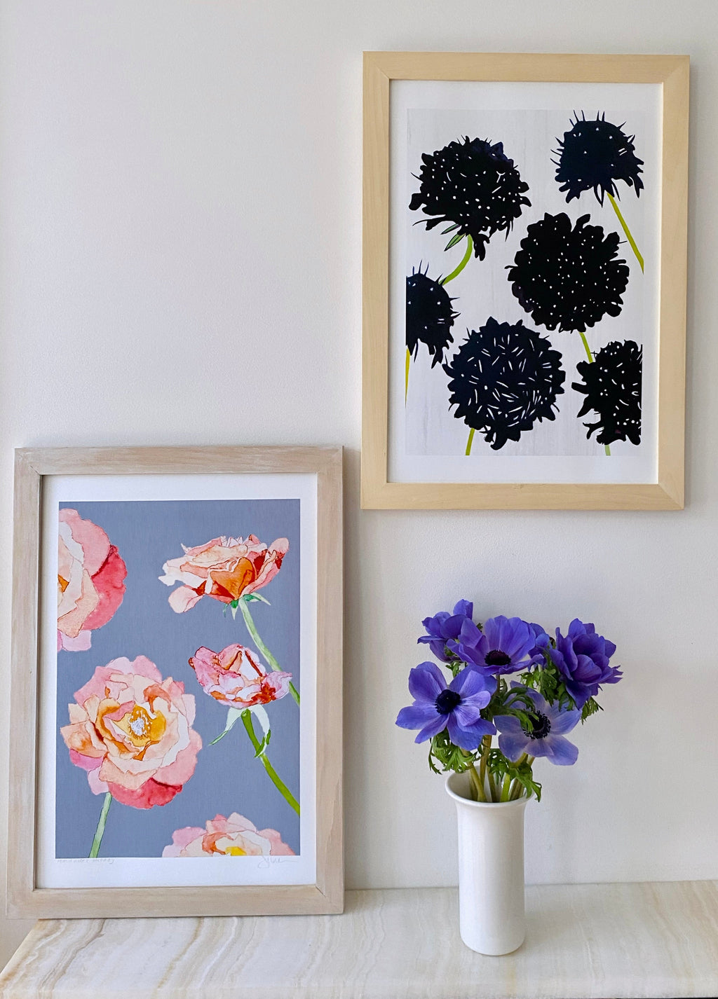 Art Print:  Black Scabiosa on Snow