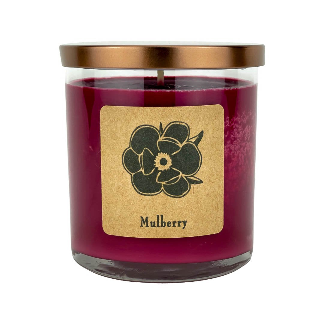 Mulberry Soy Candle - 10 oz, Orange Peel and Cinnamon