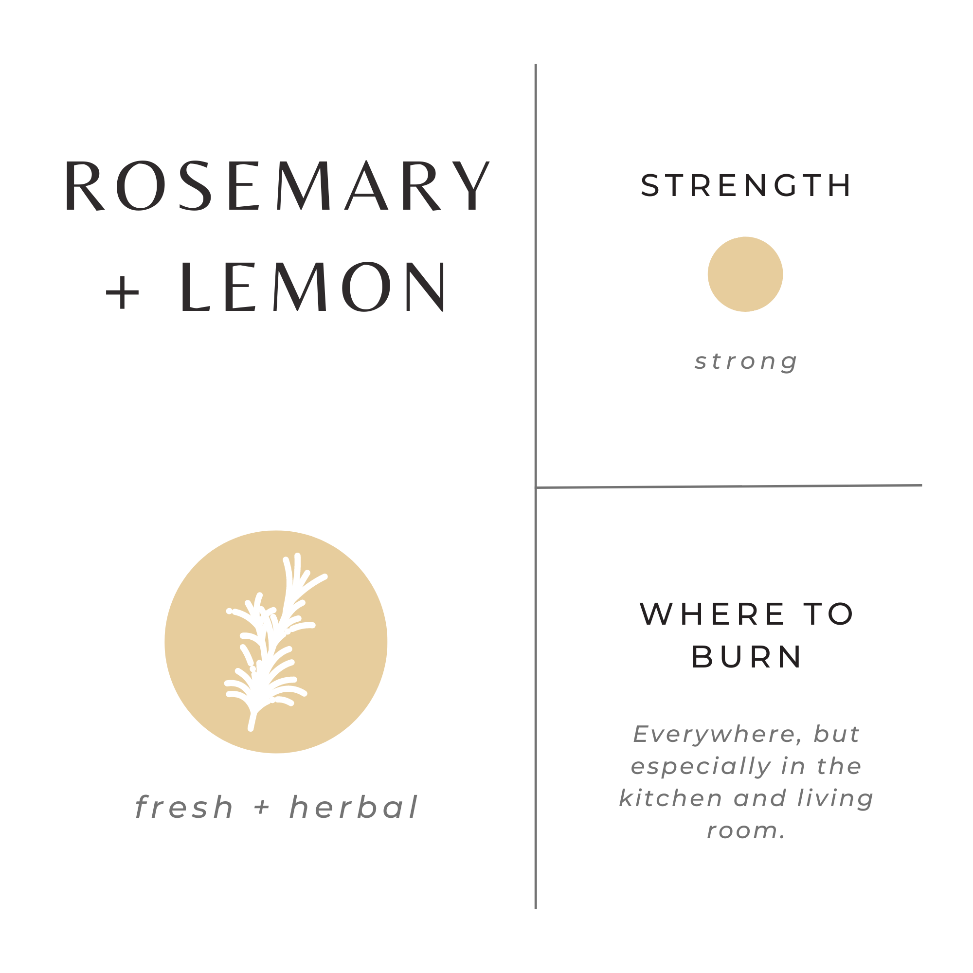 Rosemary + Lemon Signature Candle – Herbal Citrus Blend