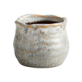 Samara Pot — Ceramic with Scalloped Collar