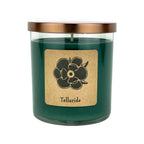 Telluride 10 oz Soy Candle - Pine and Juniper